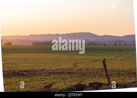 Paysages du biome pampa au coucher du soleil. En fin d'après-midi sur le terrain. Paysages ruraux. Crépuscule dans les zones agricoles. Nature. Couleurs et lumières crépusculaires. Feelin Banque D'Images