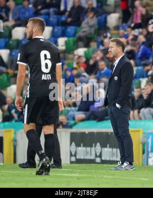 Windsor Park, Belfast, Irlande du Nord, Royaume-Uni. 04 août 2022. UEFA Europa League troisième cycle de qualification (première partie) – Linfield contre FC Zurich. Franco Foda, entraîneur du FC Zurich. Banque D'Images