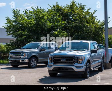 Deux camions Ford F150 d'occasion en vente chez un concessionnaire par une belle journée d'été Banque D'Images