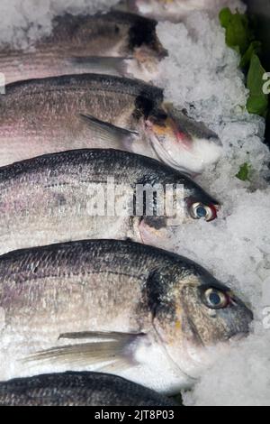 Gros plan de poissons dans la glace dans un restaurant, Torremolinos, Costa del sol, Espagne. Banque D'Images