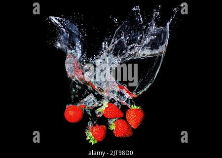 Des fraises fraîches mûres éclaboussant sous l'eau sur du noir Banque D'Images