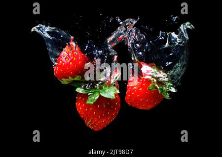 Trois fraises mûres s'enfoncent sous l'eau avec des éclaboussures isolées sur fond noir. Banque D'Images