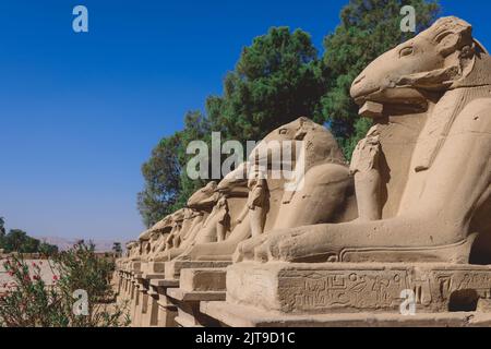 Des statues anciennes de Sphinx à tête de RAM au complexe du temple de Karnak près de Louxor, en Égypte Banque D'Images