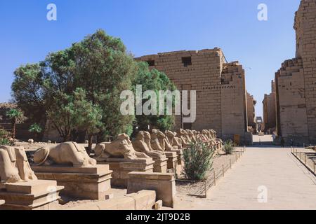 Des statues anciennes de Sphinx à tête de RAM au complexe du temple de Karnak près de Louxor, en Égypte Banque D'Images