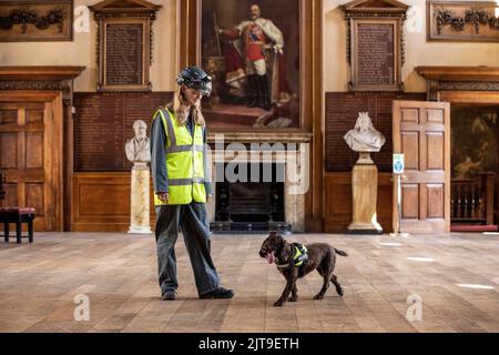 Journée nationale des chiens - PIP, un « chien pourri » chargé de renifler la pourriture humide et sèche avec le maître Isobel Mar à l'hôpital St Bartholomew's North Wing, Royaume-Uni Banque D'Images