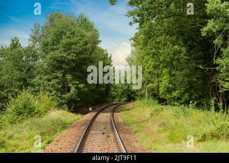 Chemin de fer en forêt d'été. Banque D'Images