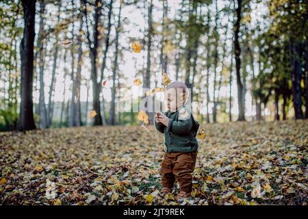 Petit garçon explorant la nature et tenant le cône de pin à l'extérieur dans la forêt d'automne. Banque D'Images