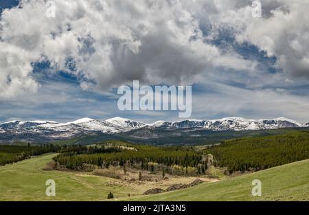 Bighorn Mountains, vue à distance de Hunter Mesa, Hunter Creek Road, près de Hunter Campground et Paradise Guest Ranch, Bighorn National Forest, Wyoming Banque D'Images