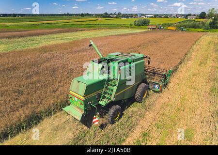 Vue aérienne d'une moissonneuse-batteuse agricole verte avec rabatteur rotatif pour la récolte dans un grand champ de céréales. Tracteurs avec remorques. Vue d'été parfaite depuis un drone volant. Photo de haute qualité Banque D'Images