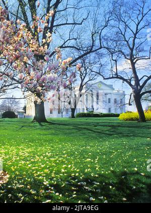 White House, Washington DC, États-Unis. Le portique nord et la pelouse au printemps Banque D'Images