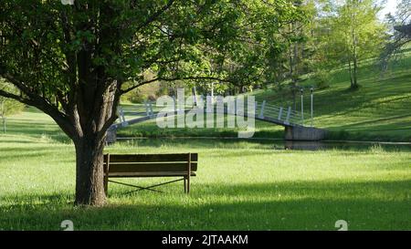Une belle photo d'un banc près de l'arbre dans un parc Banque D'Images