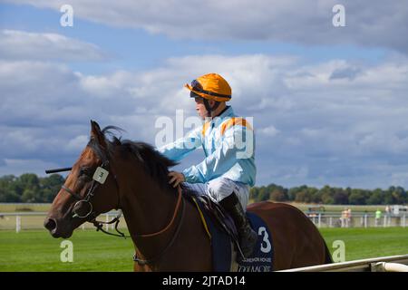 Jockey Ray Dawson sur Clarendon House aux courses de York. Banque D'Images