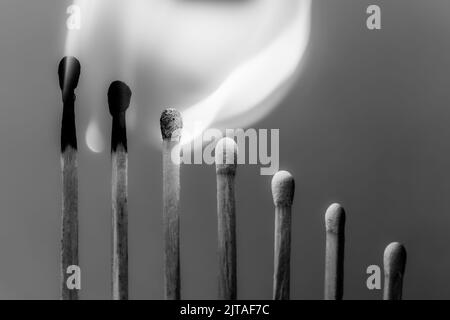 Allumettes en bois brûlantes dans l'ordre. Noir et blanc. Mise au point sélective. Banque D'Images