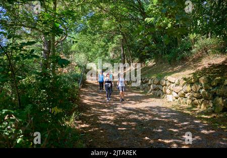 Groupe de femmes amies senior randonnée le long du sentier dans le Mont Ulia. Saint-Sébastien, Espagne. Banque D'Images