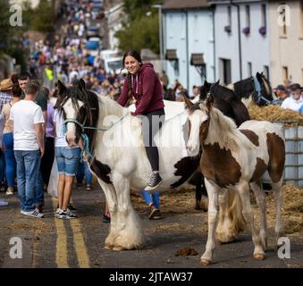 Shannan Carton, 14 ans, se trouve dans la rafle irlandaise de sa cousine, Molly avec le coquelicot du cheval à côté, lors de la foire de l'Ould Lammas, le lundi des fêtes de banque à Ballycastle, en Irlande du Nord. Banque D'Images