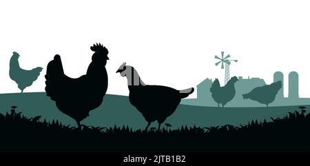 Poulets en pâturage. Silhouette de l'image. Animaux de la ferme. Volaille domestique pour obtenir des oeufs. Paysage rural avec maison de ferme. Isolé sur fond blanc. VEC Illustration de Vecteur