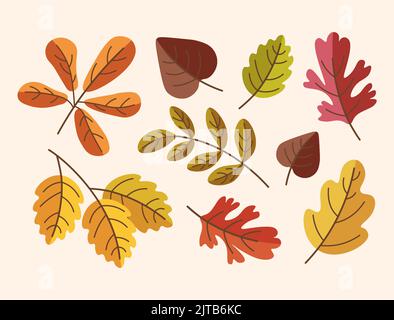 ensemble de feuilles d'automne et d'illustrations vectorielles colorées Illustration de Vecteur
