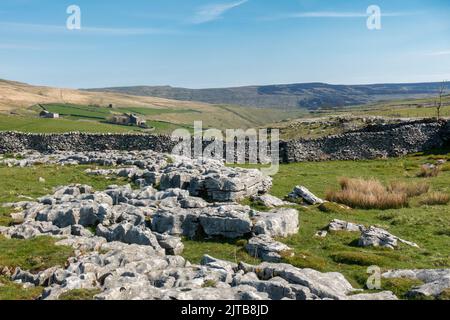 Vue sur le pavé calcaire en direction de la ferme de Pen-Y-Ghent House Farm, Halton Gill, parc national de Yorkshire Dales, North Yorkshire, Angleterre, Royaume-Uni Banque D'Images