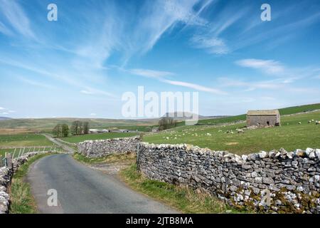 Vue sur Henside Road depuis Malham Moor, vue sur la montagne de Pen y-ghent, parc national de Yorkshire Dales, Angleterre, Royaume-Uni Banque D'Images