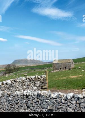 Vue depuis Henside Road depuis Malham Moor, vue sur la montagne de Pen y-ghent et une ancienne grange en pierre, parc national de Yorkshire Dales, Angleterre, Royaume-Uni Banque D'Images