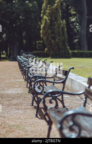 Un plan vertical de bancs en une ligne dans le parc Banque D'Images