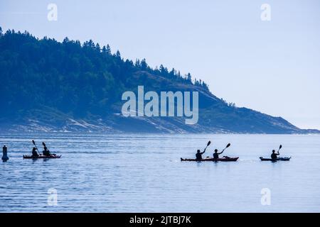 Kayaks de mer partant du port de Tadoussac, Québec, Canada. Banque D'Images