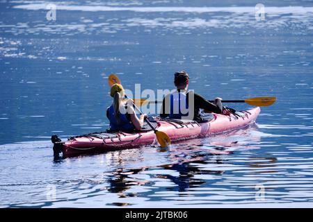 Kayaks de mer partant du port de Tadoussac, Québec, Canada. Banque D'Images