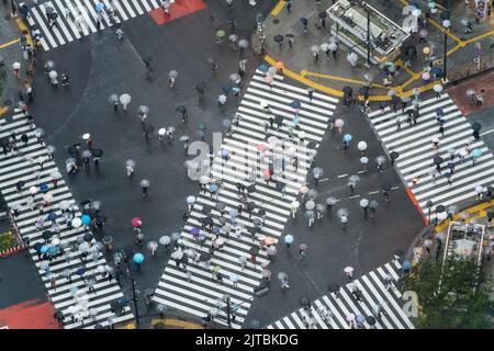 Des piétons avec des parasols traversent l'intersection multidirectionnelle de traversée de brouille connue sous le nom de Shibuya Crossing dans Shibuya Ward, Tokyo, Japon. L'intersection est considérée comme l'intersection piétonne la plus achalandée au monde. Banque D'Images