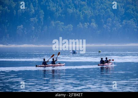 Kayaks de mer partant du port de Tadoussac, Québec, Canada. Banque D'Images