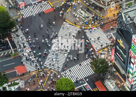 Des piétons avec des parasols traversent l'intersection multidirectionnelle de traversée de brouille connue sous le nom de Shibuya Crossing dans Shibuya Ward, Tokyo, Japon. L'intersection est considérée comme l'intersection piétonne la plus achalandée au monde. Banque D'Images