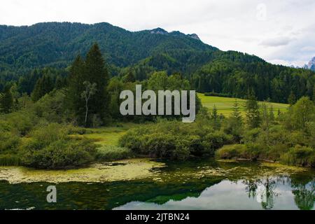 La réserve naturelle de Zelenci près de Kranjska Gora dans le nord-ouest de la Slovénie. C'est une zone humide protégée et une source de la rivière Sava Dolinka Banque D'Images