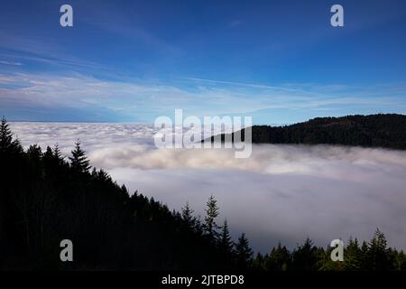 WA21910-00...WASHINGTON - brouillard des basses terres couvrant le bassin Puget Sound avec vue sur la montagne Cougar et les montagnes Olympic depuis Poo Poo point dans le Banque D'Images