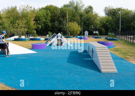 RUSSIE, MOSCOU - 28 AOÛT 2022: Chien animal entraînement animaux zone de marche chiot illustration, concept canine jouer dans l'exercice et la nature de commande, set jump Banque D'Images