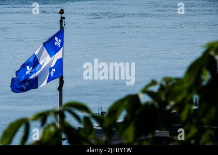 Drapeau de la province de Québec, avec son motif fleur de lis, survole le fleuve Saint-Laurent à Québec, Canada. Banque D'Images