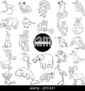 Dessin animé noir et blanc illustration de personnages drôle d'espèces d'animaux sauvages grand ensemble Illustration de Vecteur