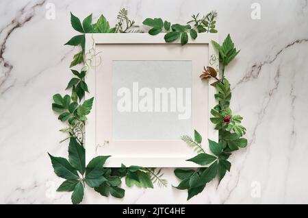 Cadre blanc pour les publicités de produits cosmétiques avec des feuilles vertes sur une table en marbre. Banque D'Images