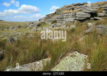 Oke tor, Dartmoor, Devon, Angleterre, Royaume-Uni Banque D'Images