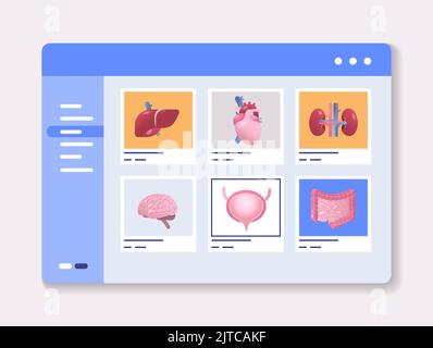 définir les organes internes du corps humain anatomique sur l'écran numérique anatomie médecine science concept de santé Illustration de Vecteur