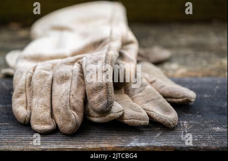 Gants de travail en gros plan sur le bois Banque D'Images