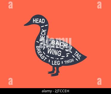 Le diagramme de canard se coupe. Affiche de la structure du boucher. Coupes de viande de canard. Illustration du schéma de viande. Silhouette d'animal de ferme. Illustration de Vecteur