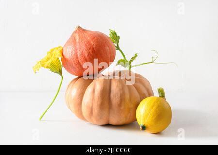 Citrouilles pour Halloween ou Thanksgiving le jour de différentes formes dans la composition de l'équilibre sur fond blanc. Banque D'Images