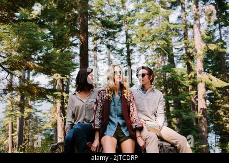 Trois amis appréciant leurs vacances Banque D'Images