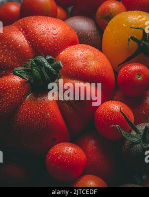 Gros plan de la variété de tomates sur la table Banque D'Images