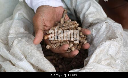 Main d'un homme cultivé tenant une pastille de bois Banque D'Images