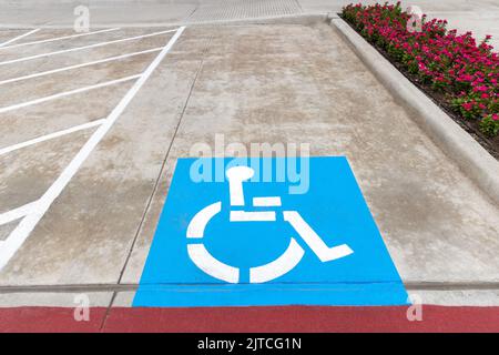 Panneau bleu, parking pour handicapés, sur la route asphaltée avec des marquages routiers blancs et des fleurs sur le côté Banque D'Images