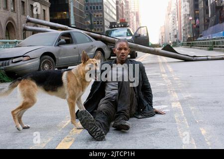 WILL SMITH, chien, I Am Legend, 2007 Banque D'Images