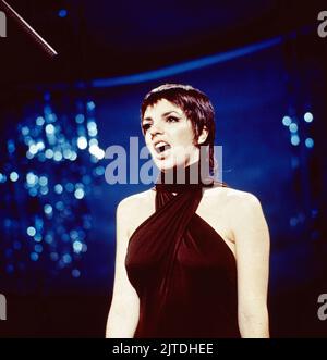 Liza Minelli, amerikanische Sängerin und Sauspielerin, hier BEI einem Auftritt in Deutschland, 1987. Liza Minelli, actrice et chanteuse américaine, performance en Allemagne, 1987. Banque D'Images