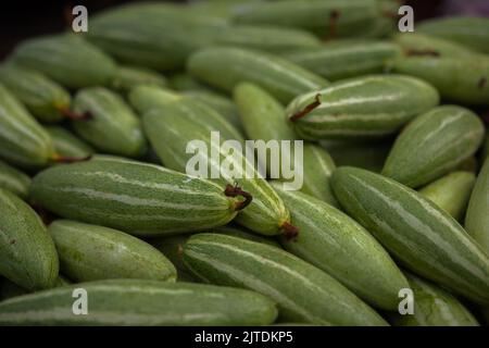 Les légumes sont l'une des principales sources de revenu pour les agriculteurs bangladais. Auparavant, il était uniquement destiné à la consommation des ménages, mais il est désormais devenu des cultures de rente. Banque D'Images