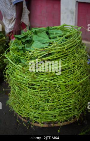 Les légumes sont l'une des principales sources de revenu pour les agriculteurs bangladais. Auparavant, il était uniquement destiné à la consommation des ménages, mais il est désormais devenu des cultures de rente. Banque D'Images