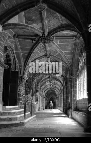 Un cloître dans la cathédrale de Chester Banque D'Images